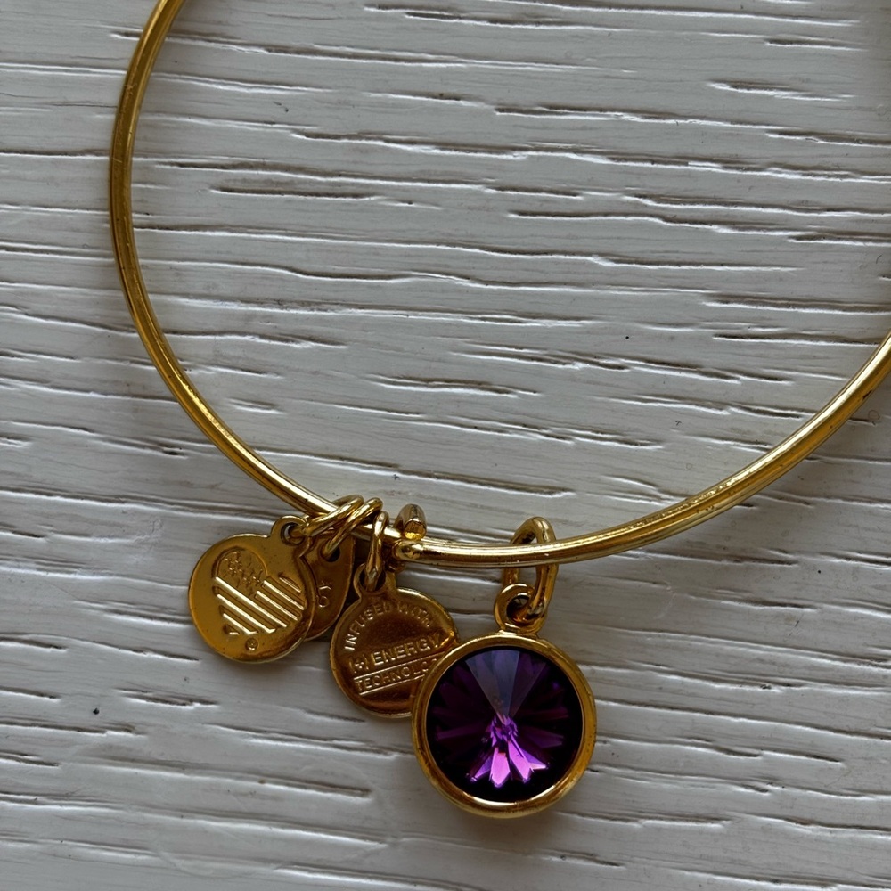 Alex and Ani Gold Bangle Bracelet with Purple Charm